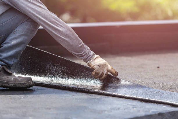 Professional Interior Drainage System technician working in Evensville, TN